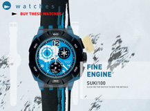 swatch snowpass