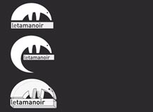 le tamanoir : recherches